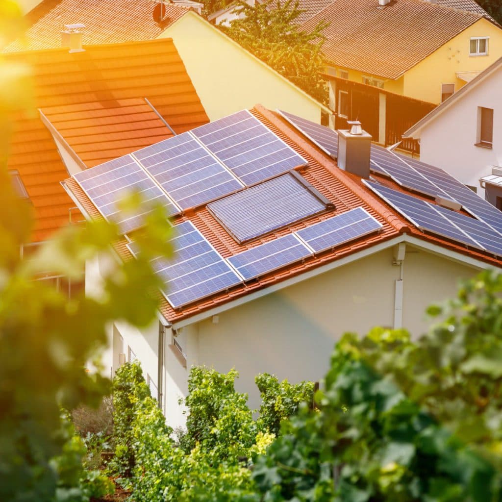 Umwelt und Klimaschutz in Unna